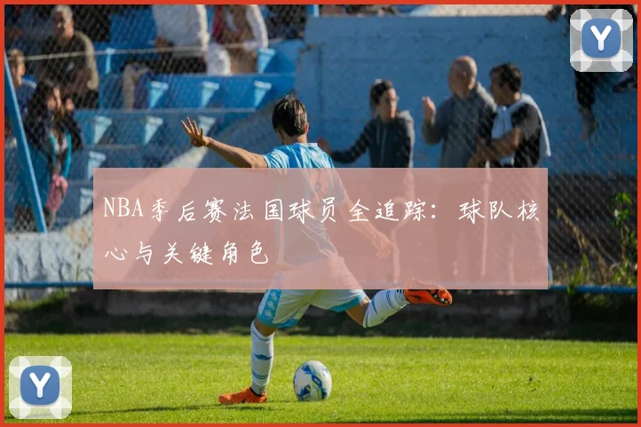 NBA季后赛法国球员全追踪:球队核心与关键角色