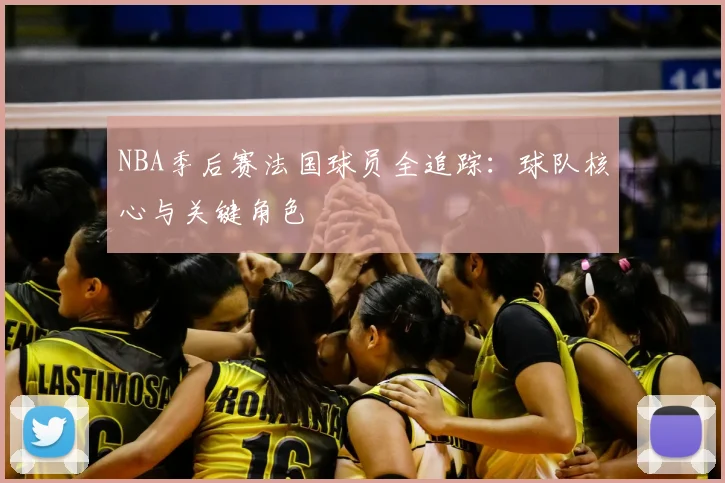 NBA季后赛法国球员全追踪：球队核心与关键角色